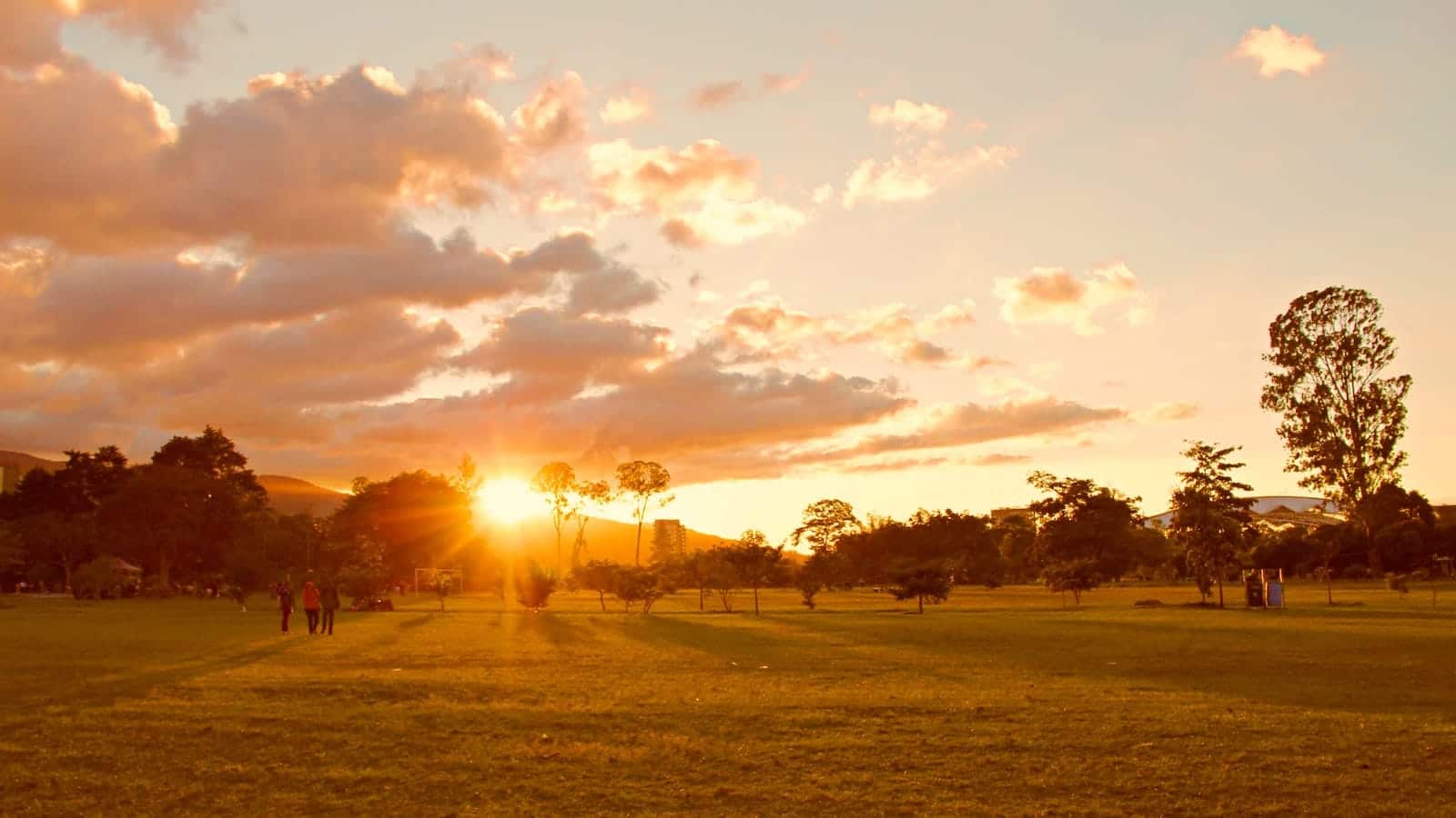 Does Derek Carr Wear Eyeliner